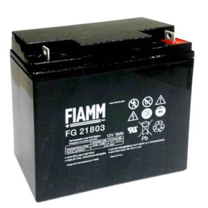 fg21803